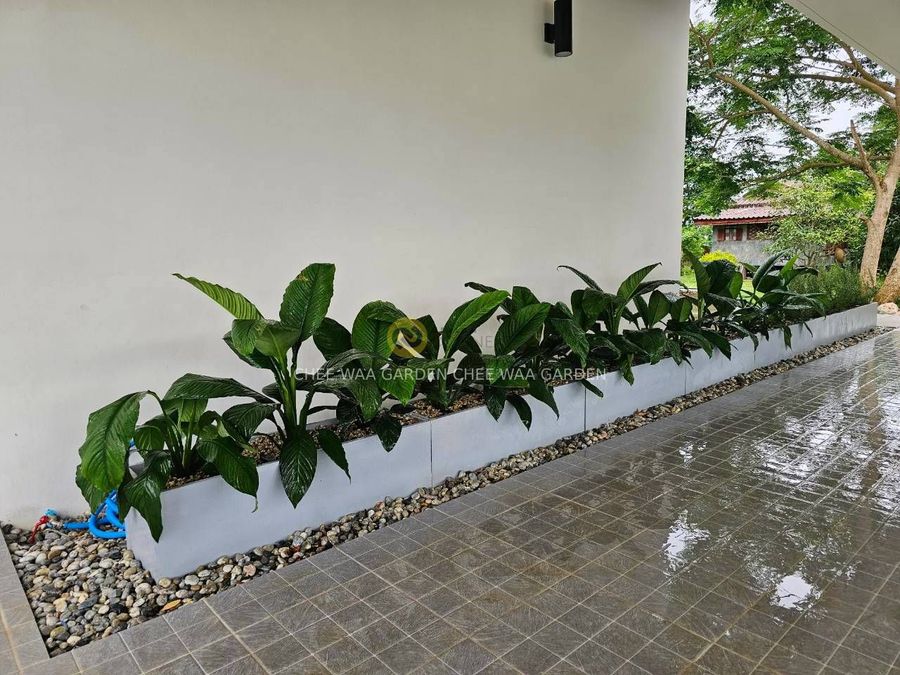 MODERN GARDEN