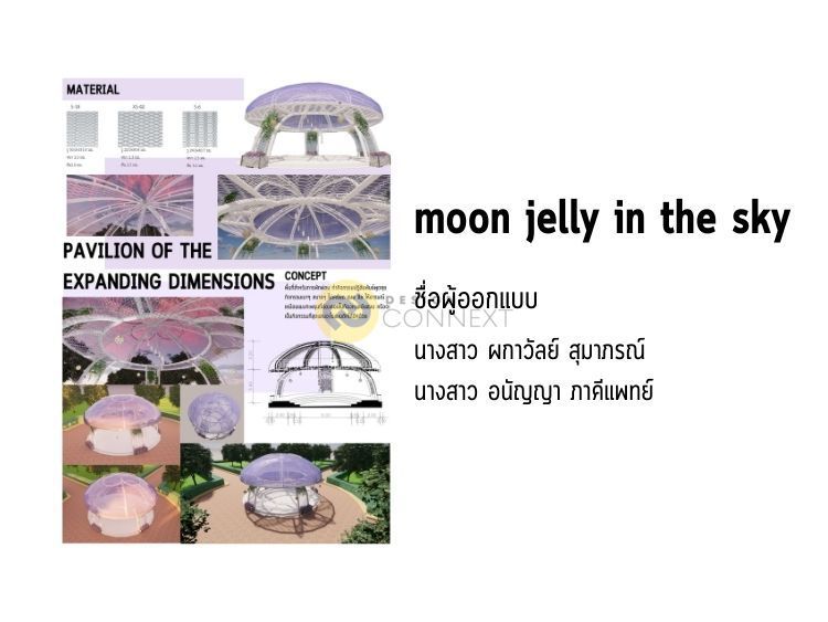 moon jelly in the sky