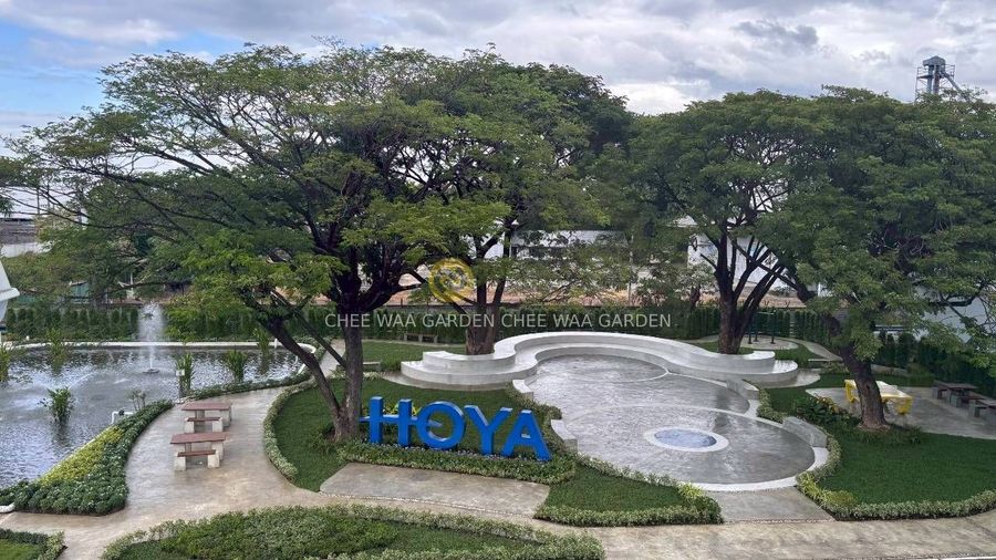 MODERN & TROPICAL GARDEN