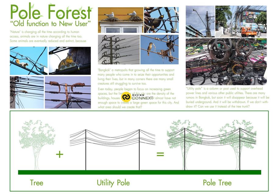 Pole Forest