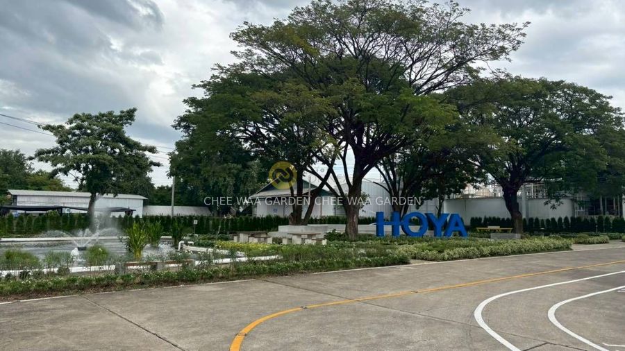 MODERN & TROPICAL GARDEN