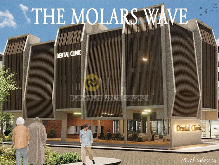 The Molars Wave