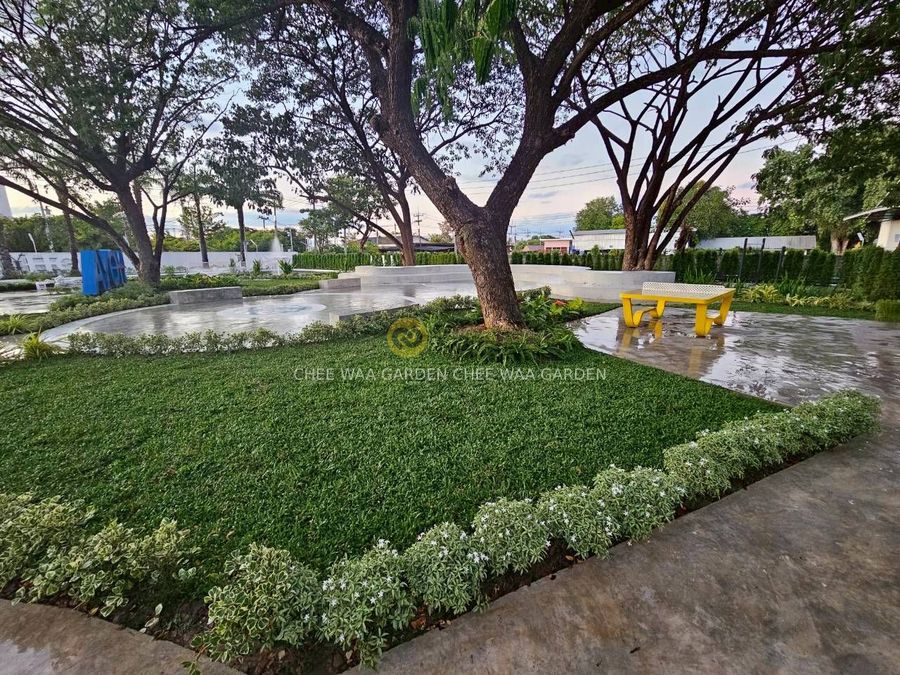 MODERN & TROPICAL GARDEN