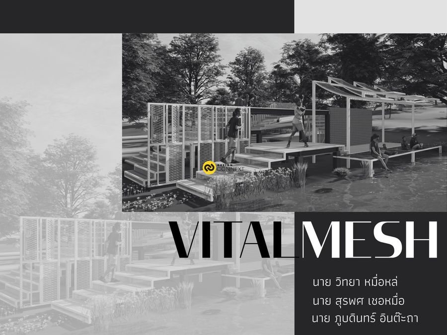 Vital mesh