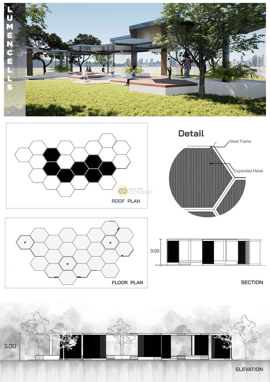 LUMEN CELLS