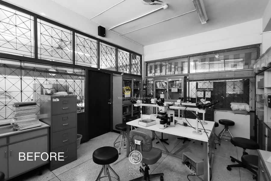 Institute of Pathology สถาบันพยาธิวิทยา