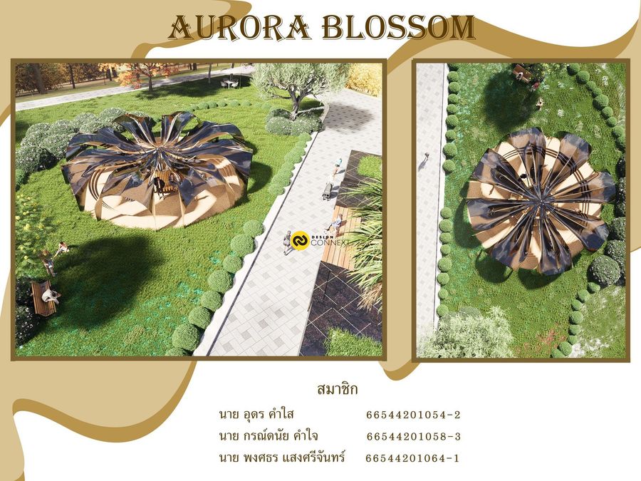 Aurora Blossom