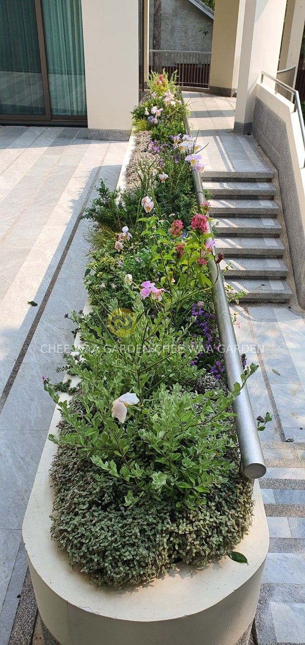 TROPOCAL GARDEN