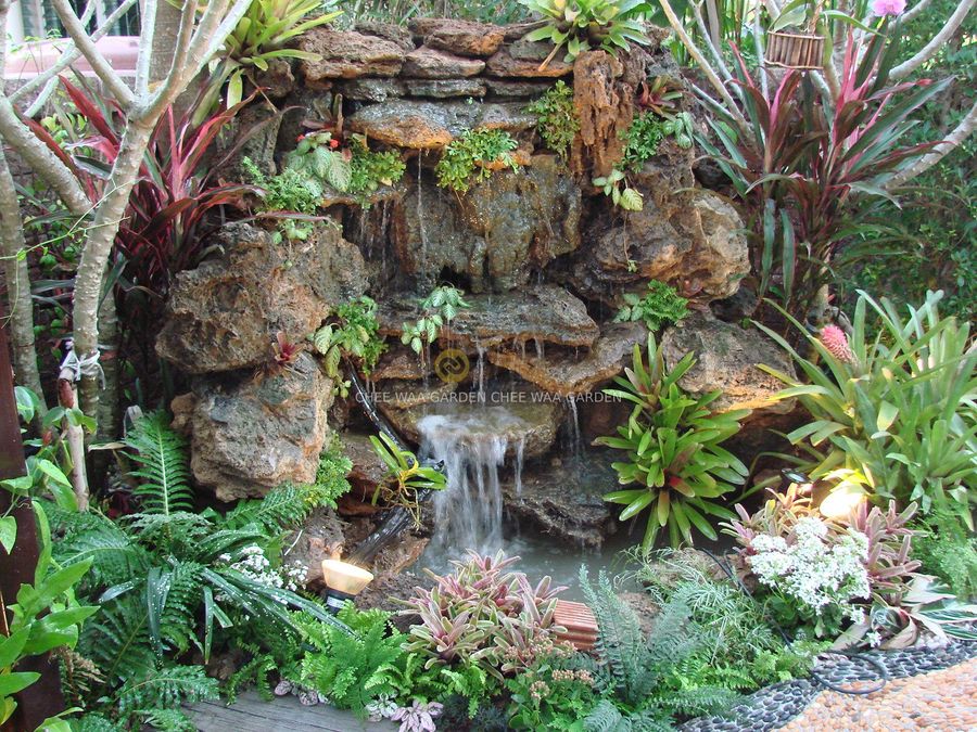 TROPICAL GARDEN