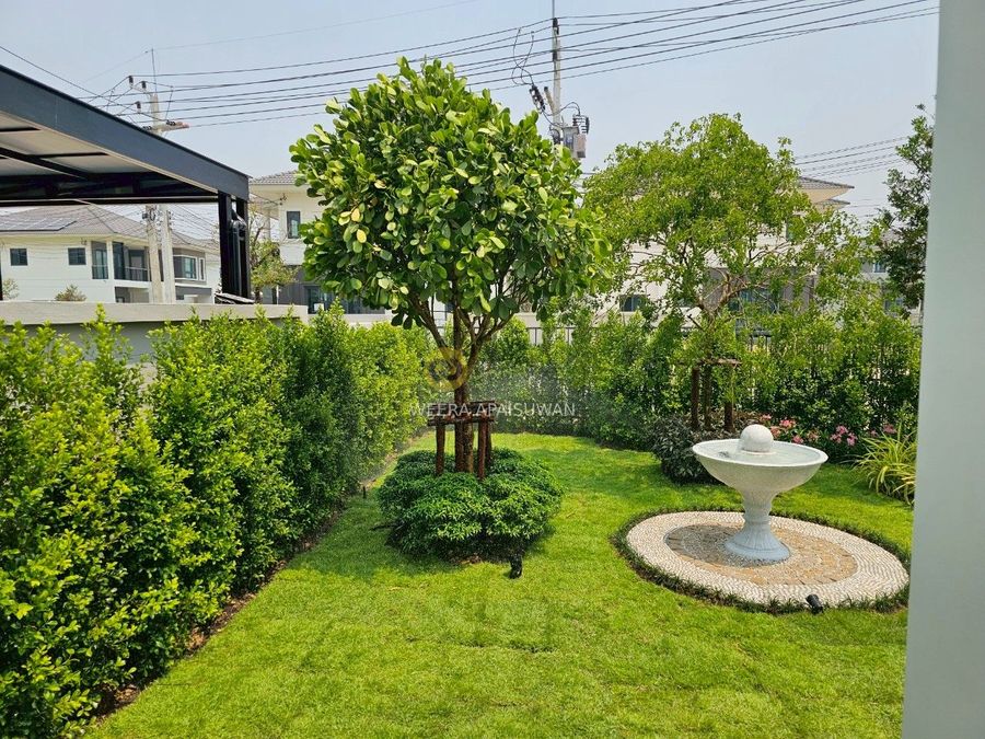 TROPICAL GARDEN
