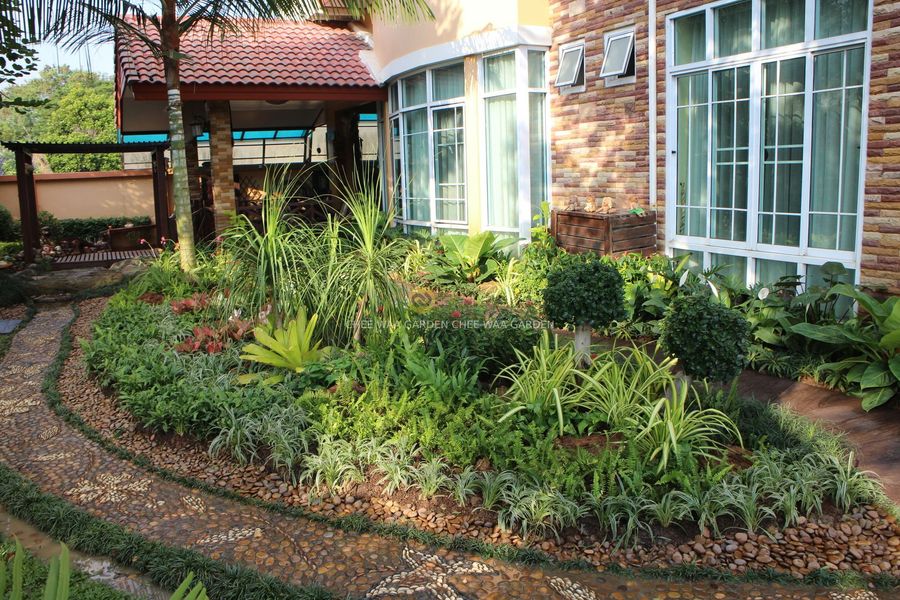 TROPICAL GARDEN