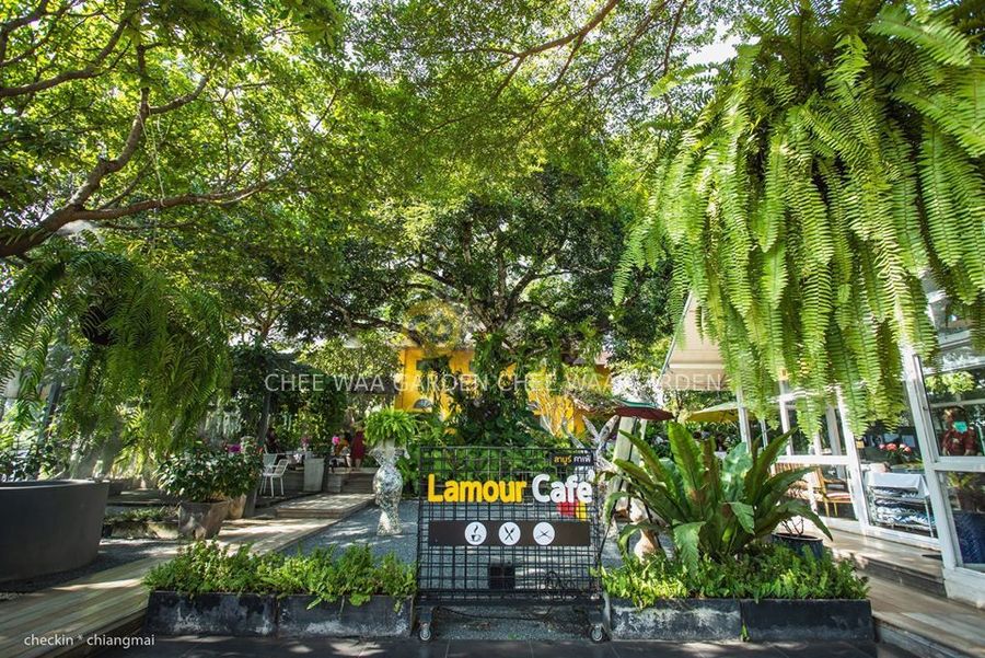 LAMOUR CAFE