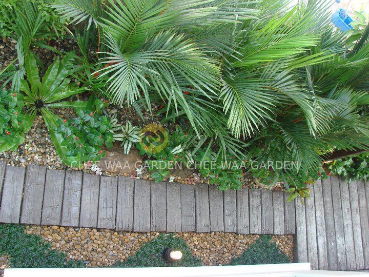 TROPICAL GARDEN