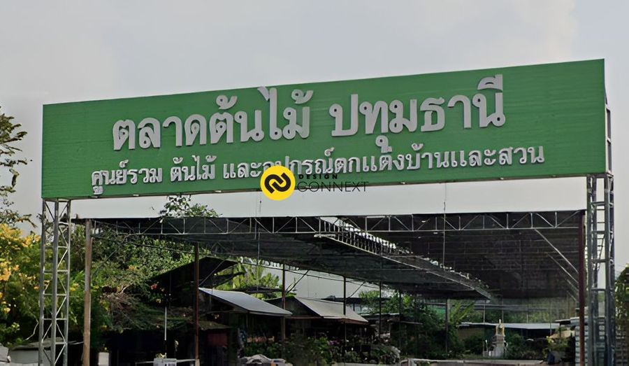 ตลาดต้นไม้ปทุมธานี – แหล่งรวมของตกแต่งบ้านและสวนสมัยใหม่