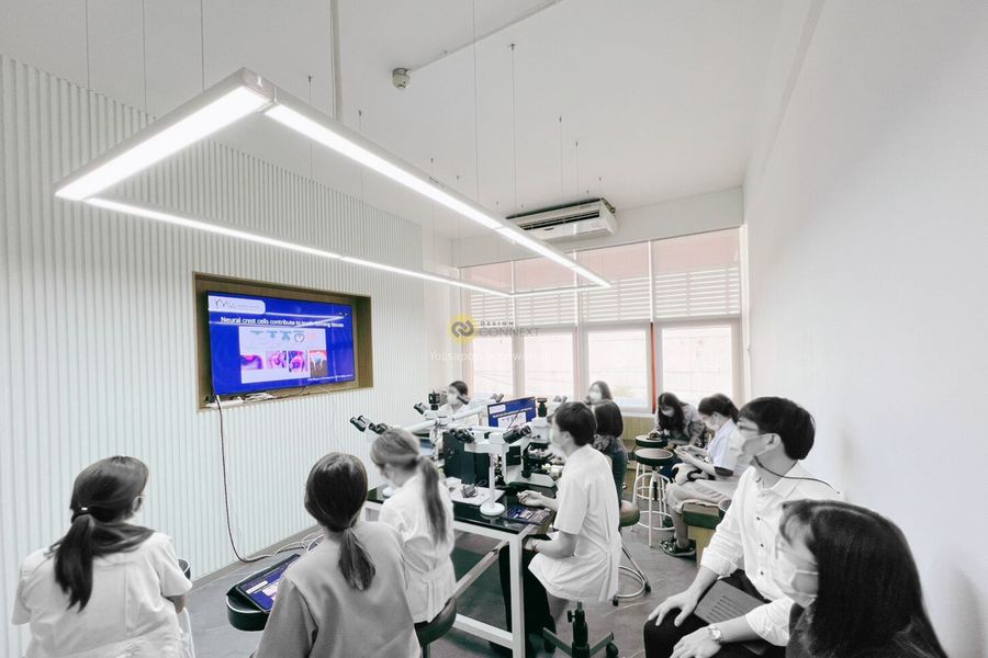 Institute of Pathology สถาบันพยาธิวิทยา