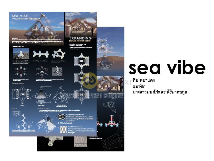 SEA VIBE