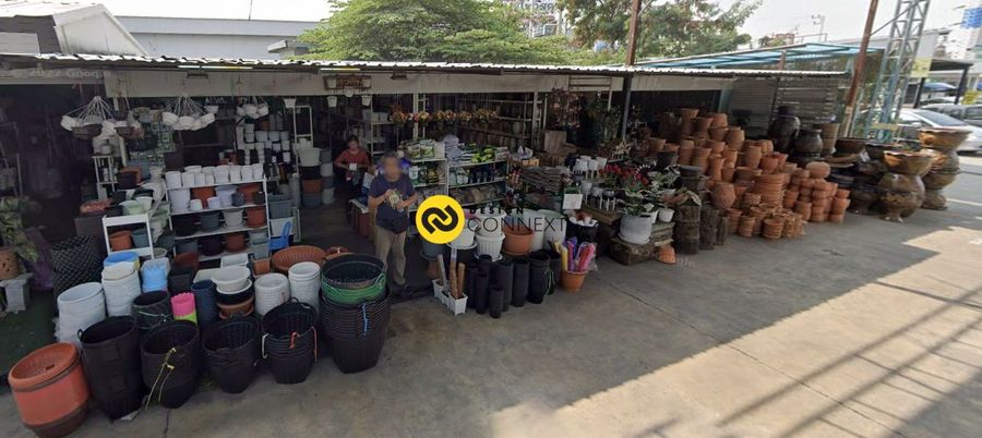 ตลาดต้นไม้ปทุมธานี – แหล่งรวมของตกแต่งบ้านและสวนสมัยใหม่