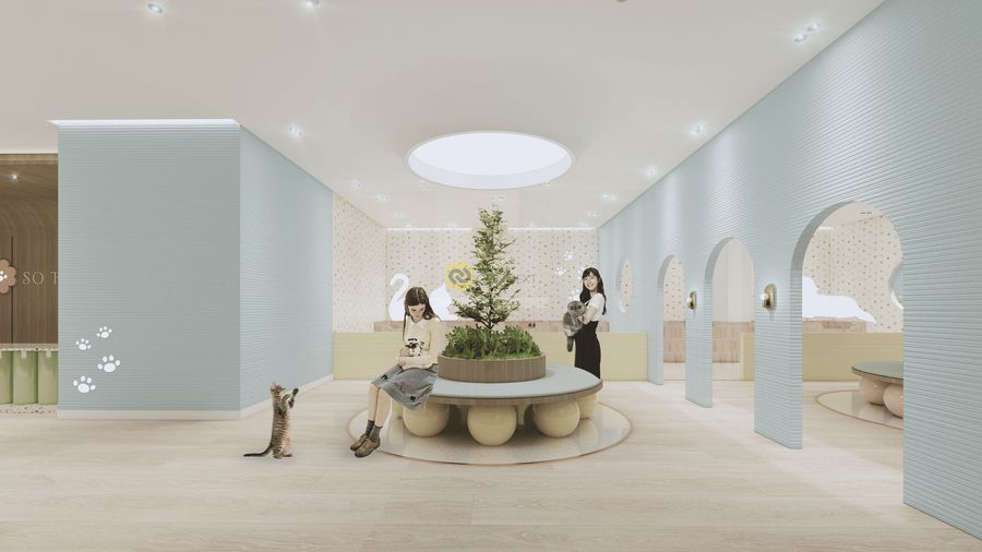 Pet and Parents wellness center