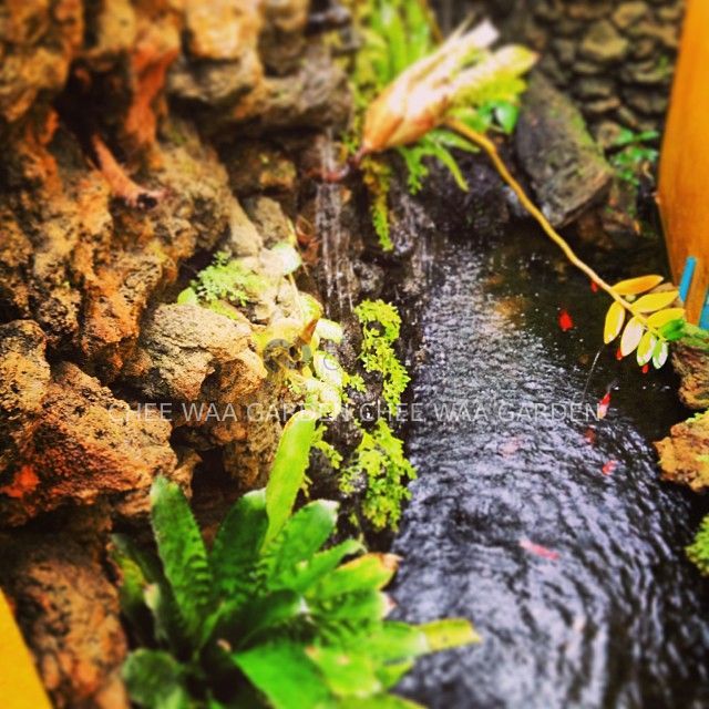 CHEEWAA GARDEN
