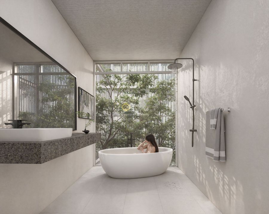 Baan : Mountain  Geometry