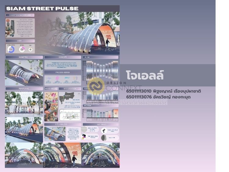 SIAM STREET PULSE