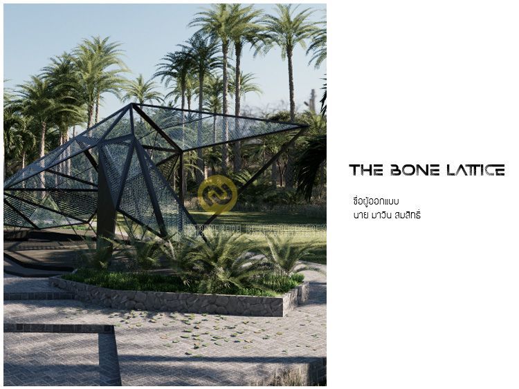 The Bone lattice