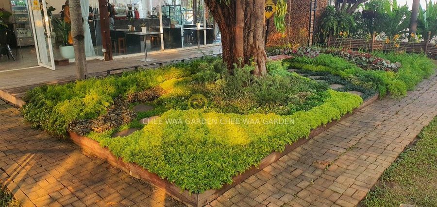 POCKET GARDEN
