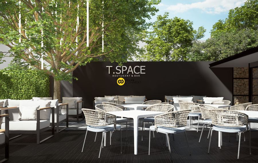 T-Space