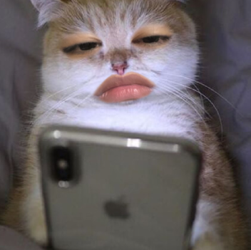 นางสาวปาริชาต ดีทองแก้ว