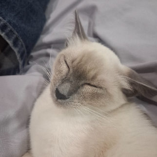 จำนง เบญจพร