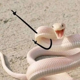 รัฐภูมิ จันทคู่