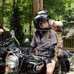 สุพจน์ เตชะรัชชานนท์